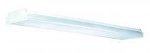 Fluorescent Lights