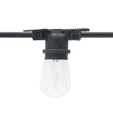 American Lighting LS-M-24-100-BK - LIGHT STRING 100FT